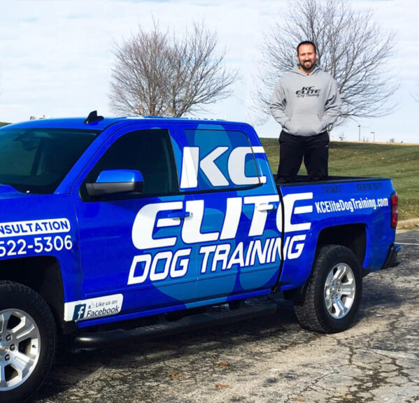 Dog Training KC Elite Dog Training